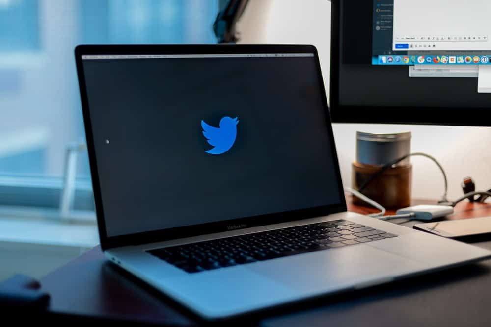 Twitter logo on laptop screen