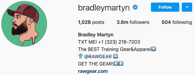 Bradley Martyn Instagram bio