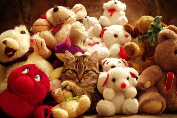 https://afluencer.com/wp-content/uploads/cuddly-cat-surrounded-teddy-bears.jpg