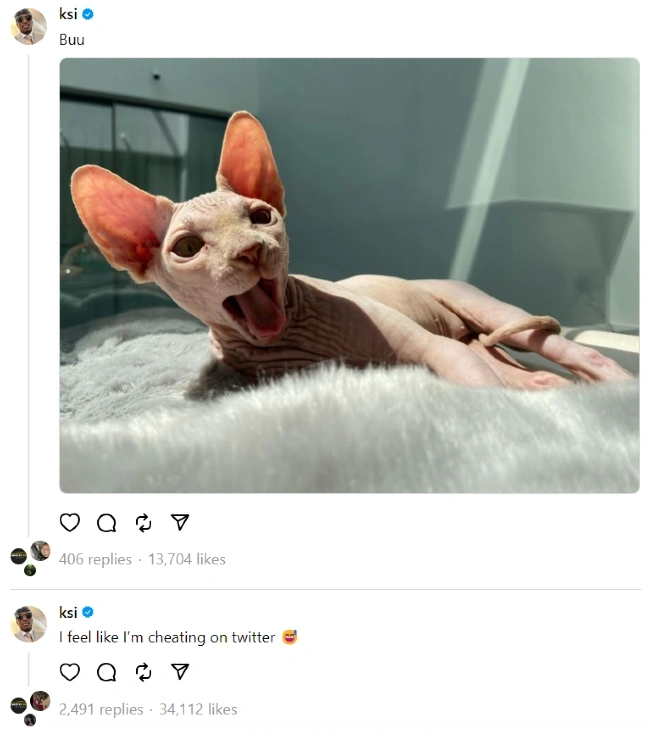 KSI sharing a picture of a Sphynx cat