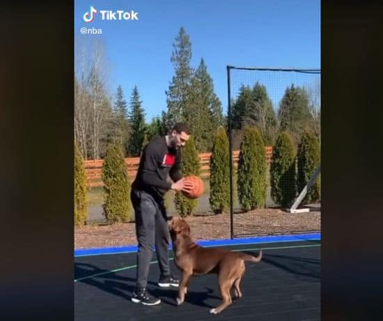 Zach LaVine and his dog play basketball on TikTok
